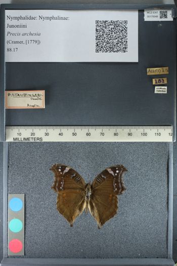 Media type: image;   Entomology 170048